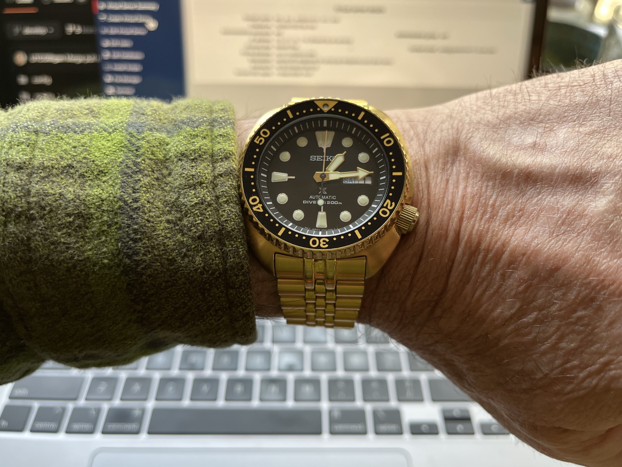 Golden Turtle