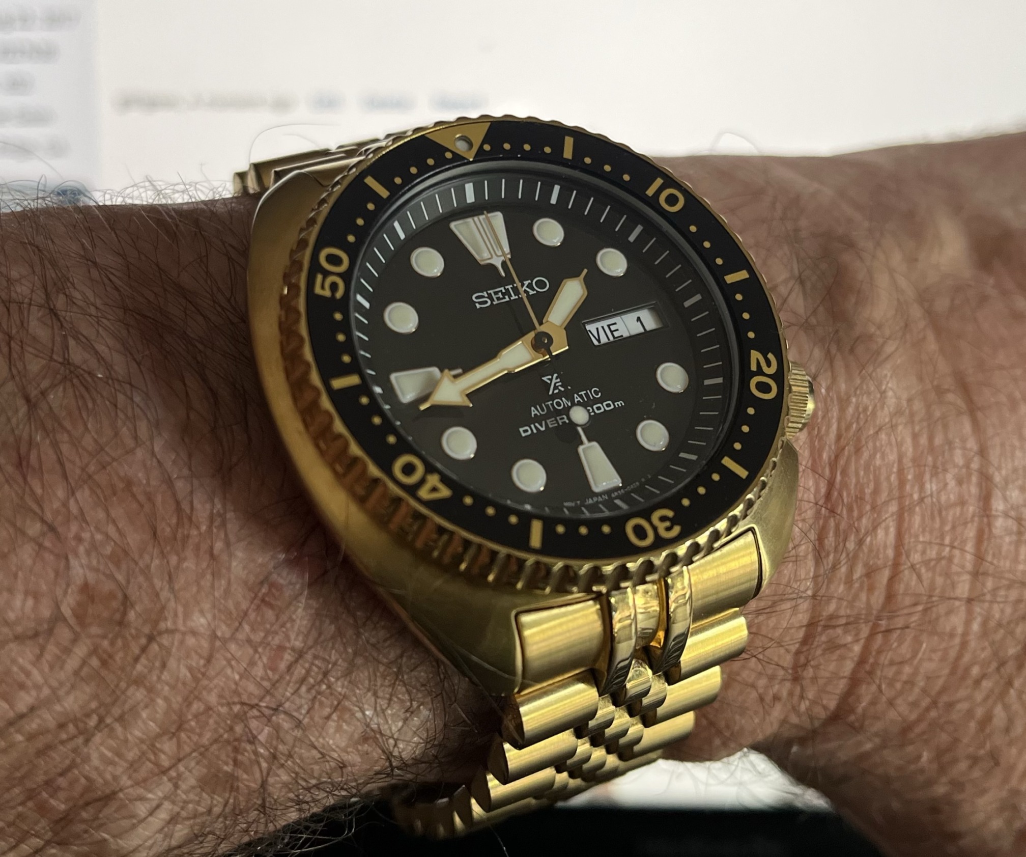 Golden Turtle redux